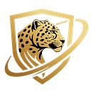 Black Car Service Worldwide logo