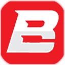 Bonafide Auto Parts logo