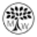 Maxiwoods logo
