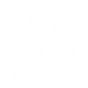 Jimmy Bogard logo