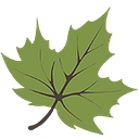 Darby Creek Dental logo