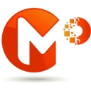 Moltech Solutions, Inc. logo