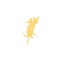 Haddon Culinary logo