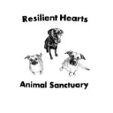 Resilient Hearts Animal Sanctuary logo