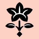 The Little Flower Shop logo