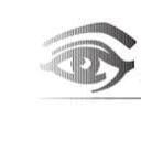 Parrelli Optical logo