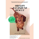 Oregon Dachshund Rescue logo