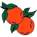 Gless Ranch logo