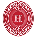 The Violin Doctor logo