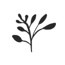Wendi Matt logo