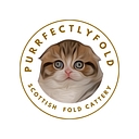 PurrfectlyFold logo