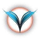 Visuals by Momo logo