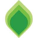 Verdis Group logo