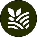 Black Seed Ventures logo
