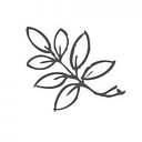 Northern Nester logo
