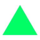 N49P logo