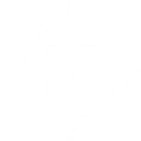 evolontech.com favicon