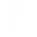 Ironborn Strength Gym logo