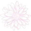 The Pink Daisy logo