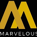Nashville Limousine Service logo
