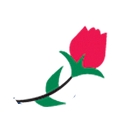 Bakersfield Senior Placement logo