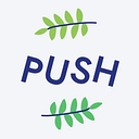 blog.push.fm favicon