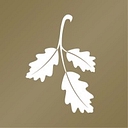 Oakmont of Las Vegas logo