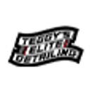 Teggy's Elite Detailing logo