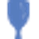 Brad Thomas Parsons logo