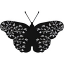 Life Transition Doulas logo