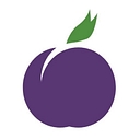 Plum Health Direct Primary Care logo
