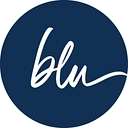 bluSONIL logo