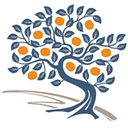 The Persimmon Group logo