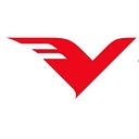 Vision India Services logo