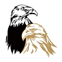 Twin Eagles logo