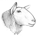 MittenStateWool logo