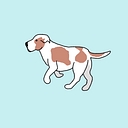 The Dog Yard logo