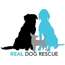 Real Dog Rescue logo