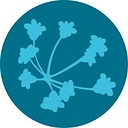 CSCCE logo