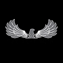 Paramount Strength & Conditioning logo