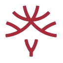 VAYAM logo