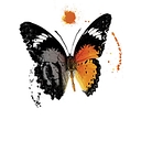 Bradley, Haeberle & Barth Funeral Home logo