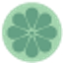 Lily and Lime logo
