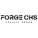 Forge CHS logo