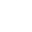 Wise Home Solutions, Inc. logo