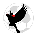 Blackbird e-Solutions logo