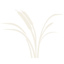 Twin Rivers Senior Living logo