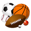 Burke's Sport Haven logo