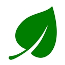 American Holly logo