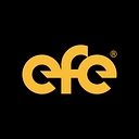 EFE Consulting Group logo